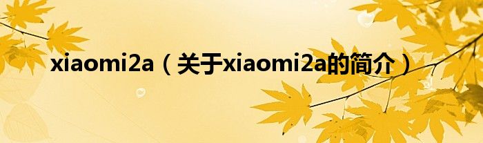 xiaomi2a（关于xiaomi2a的简介）