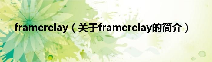 framerelay（关于framerelay的简介）
