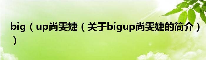 big（up尚雯婕（关于bigup尚雯婕的简介））