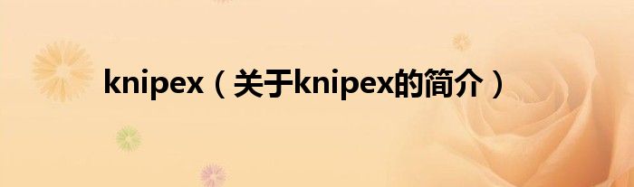 knipex（关于knipex的简介）