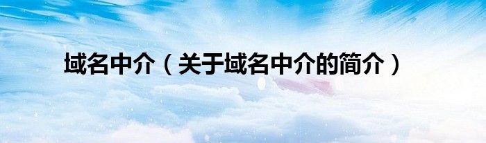 域名中介（关于域名中介的简介）