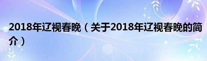 2018年辽视春晚（关于2018年辽视春晚的简介）