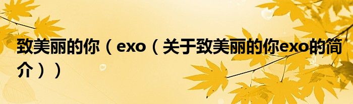 致美丽的你（exo（关于致美丽的你exo的简介））