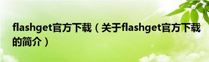 flashget官方下载（关于flashget官方下载的简介）