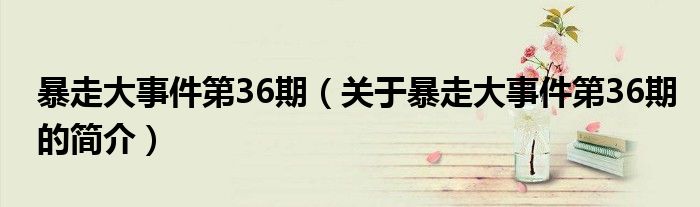 暴走大事件第36期（关于暴走大事件第36期的简介）