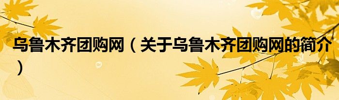 乌鲁木齐团购网（关于乌鲁木齐团购网的简介）