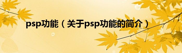 psp功能（关于psp功能的简介）