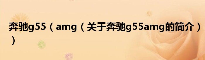 奔驰g55（amg（关于奔驰g55amg的简介））