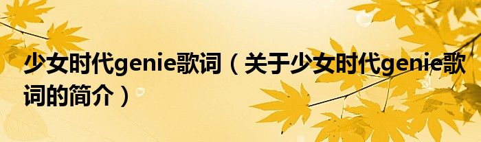 少女时代genie歌词（关于少女时代genie歌词的简介）