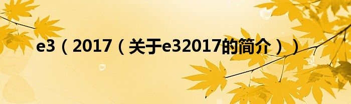 e3（2017（关于e32017的简介））