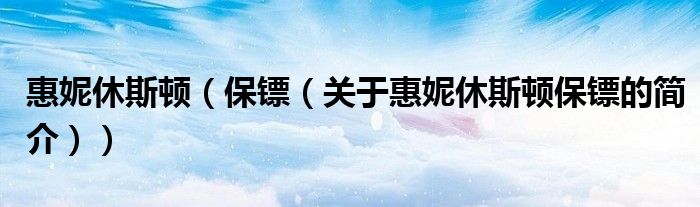 惠妮休斯顿（保镖（关于惠妮休斯顿保镖的简介））