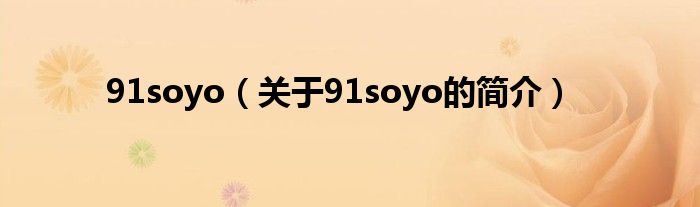 91soyo（关于91soyo的简介）