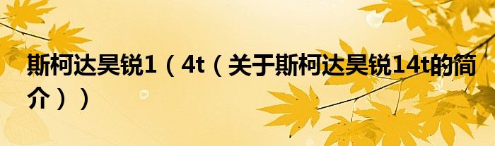 斯柯达昊锐1（4t（关于斯柯达昊锐14t的简介））