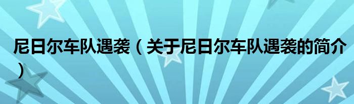 尼日尔车队遇袭（关于尼日尔车队遇袭的简介）