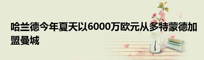 哈兰德今年夏天以6000万欧元从多特蒙德加盟曼城