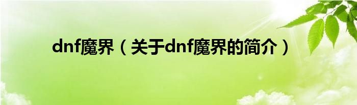 dnf魔界（关于dnf魔界的简介）