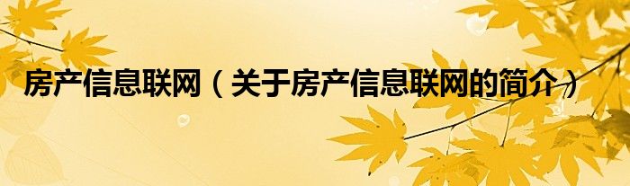 房产信息联网（关于房产信息联网的简介）