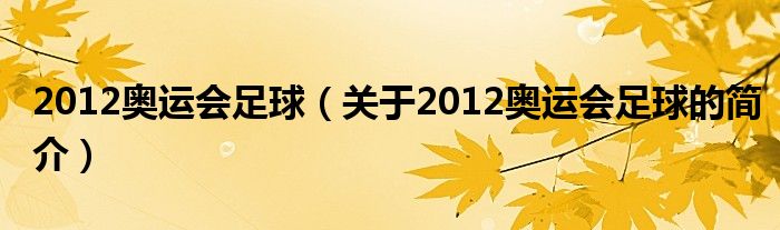 2012奥运会足球（关于2012奥运会足球的简介）