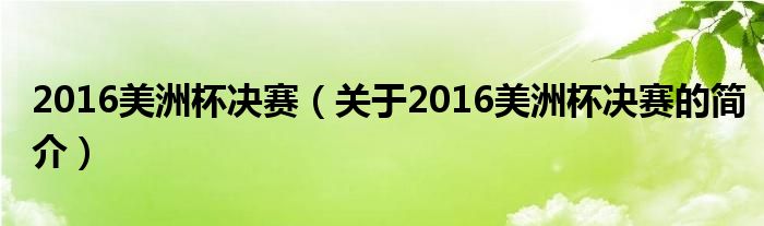 2016美洲杯决赛（关于2016美洲杯决赛的简介）