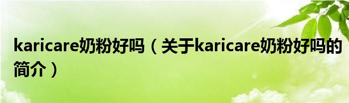 karicare奶粉好吗（关于karicare奶粉好吗的简介）