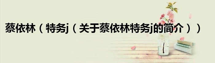 蔡依林（特务j（关于蔡依林特务j的简介））