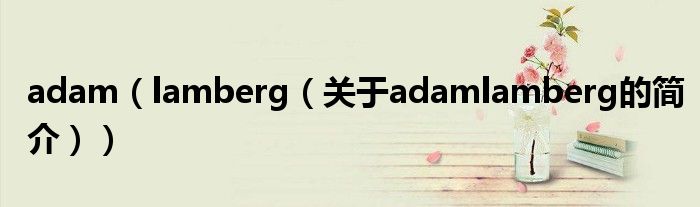 adam（lamberg（关于adamlamberg的简介））