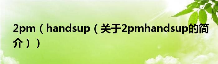 2pm（handsup（关于2pmhandsup的简介））