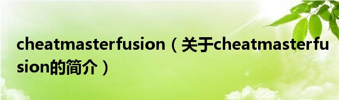 cheatmasterfusion（关于cheatmasterfusion的简介）