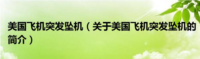 美国飞机突发坠机（关于美国飞机突发坠机的简介）