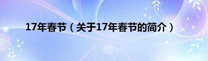 17年春节（关于17年春节的简介）