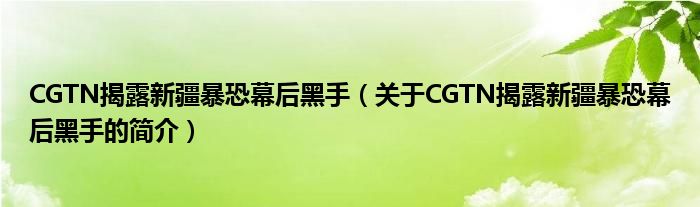 CGTN揭露新疆暴恐幕后黑手（关于CGTN揭露新疆暴恐幕后黑手的简介）