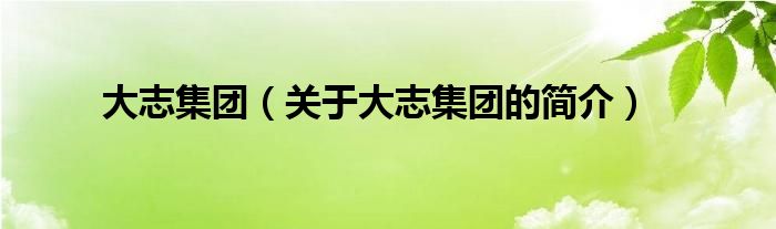大志集团（关于大志集团的简介）