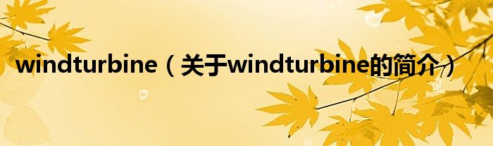 windturbine（关于windturbine的简介）