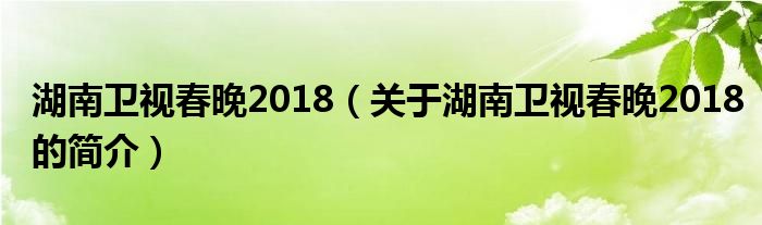 湖南卫视春晚2018（关于湖南卫视春晚2018的简介）