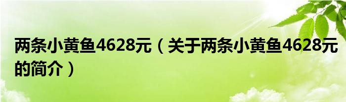 两条小黄鱼4628元（关于两条小黄鱼4628元的简介）