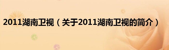 2011湖南卫视（关于2011湖南卫视的简介）