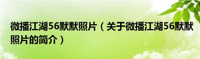 微播江湖56默默照片（关于微播江湖56默默照片的简介）