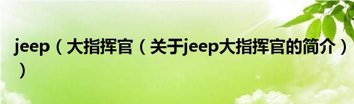 jeep（大指挥官（关于jeep大指挥官的简介））