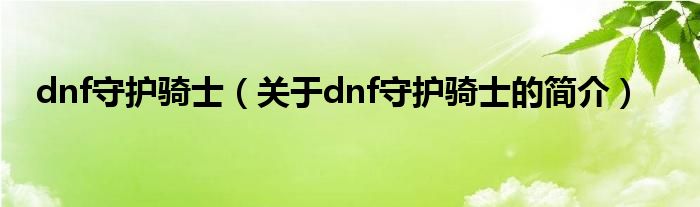 dnf守护骑士（关于dnf守护骑士的简介）