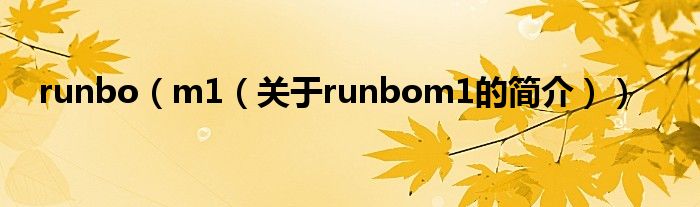 runbo（m1（关于runbom1的简介））