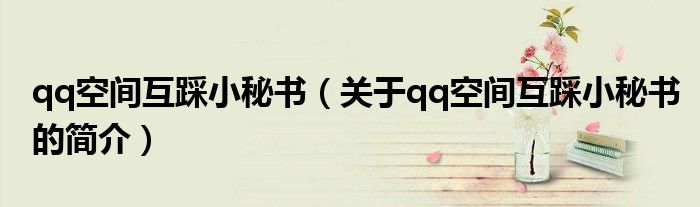 qq空间互踩小秘书（关于qq空间互踩小秘书的简介）