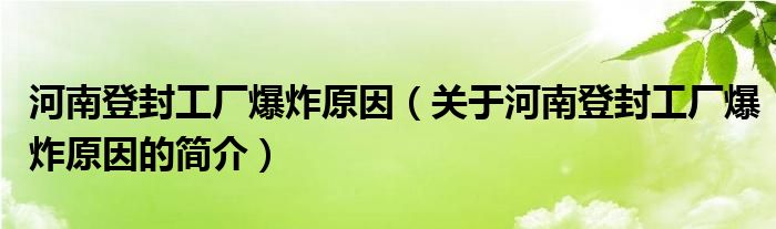 河南登封工厂爆炸原因（关于河南登封工厂爆炸原因的简介）