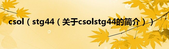 csol（stg44（关于csolstg44的简介））
