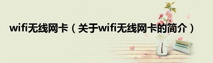wifi无线网卡（关于wifi无线网卡的简介）