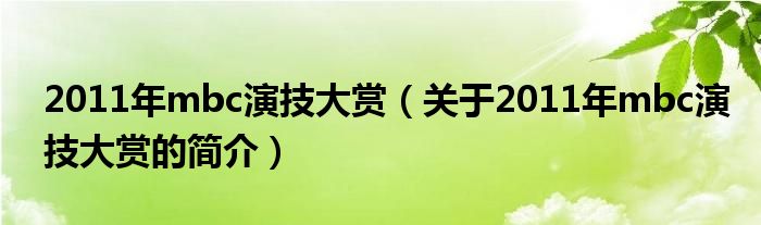 2011年mbc演技大赏（关于2011年mbc演技大赏的简介）