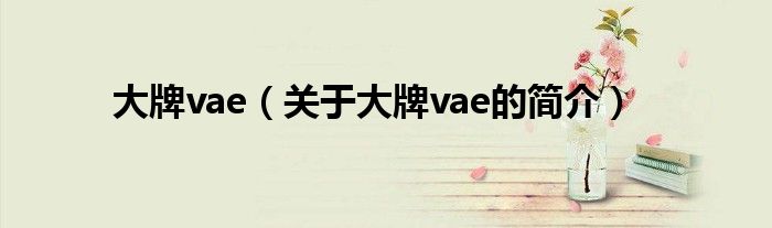 大牌vae（关于大牌vae的简介）