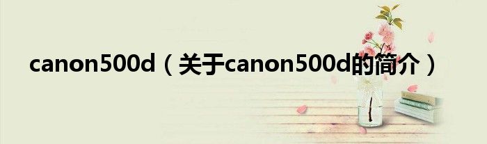 canon500d（关于canon500d的简介）