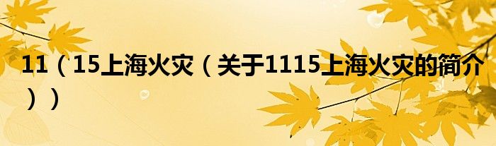 11（15上海火灾（关于1115上海火灾的简介））