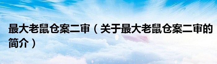 最大老鼠仓案二审（关于最大老鼠仓案二审的简介）