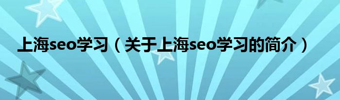 上海seo学习（关于上海seo学习的简介）